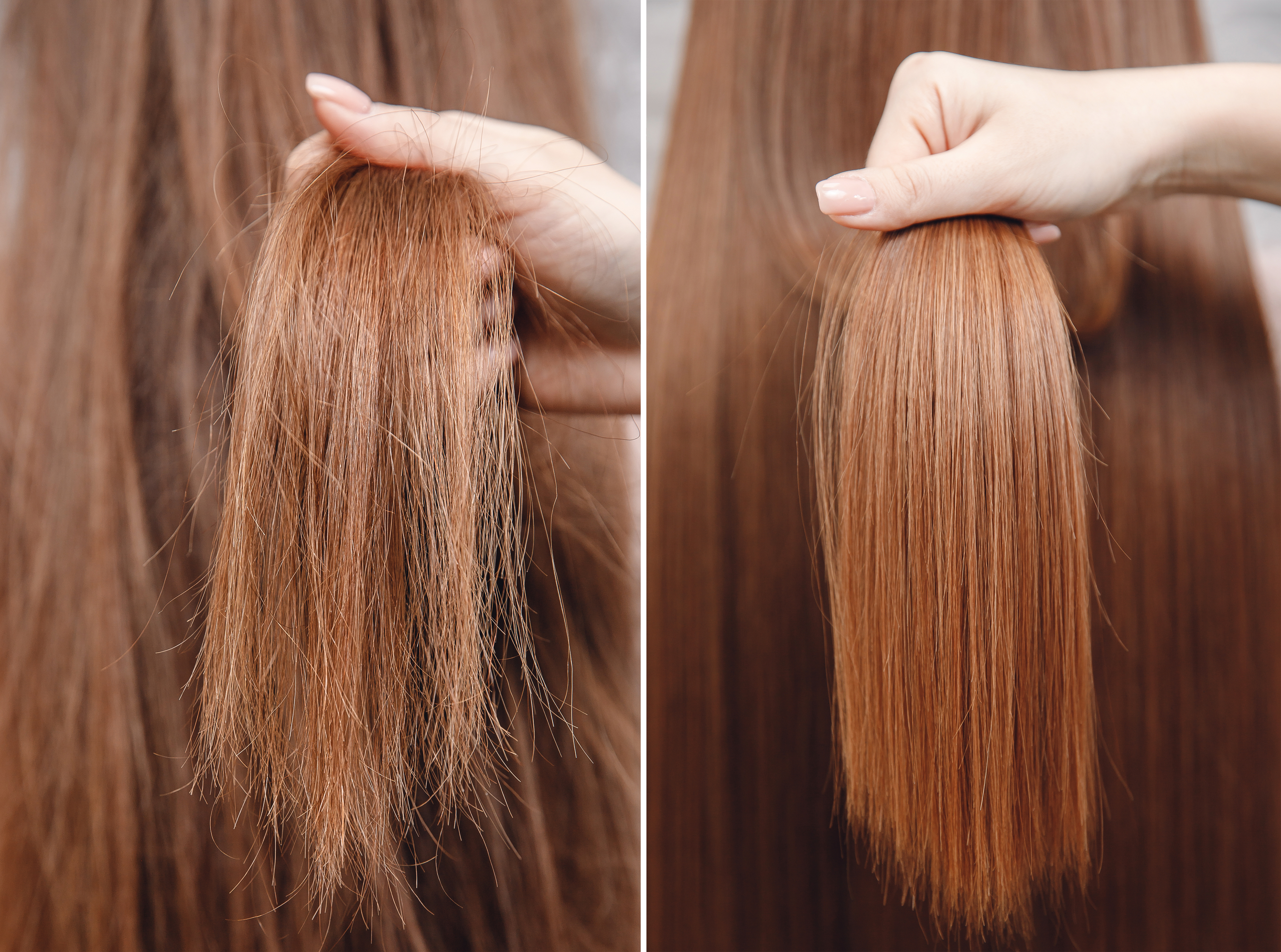 close-up showing side-by-side comparison of frizzy hair and smooth hair strands held by a hand